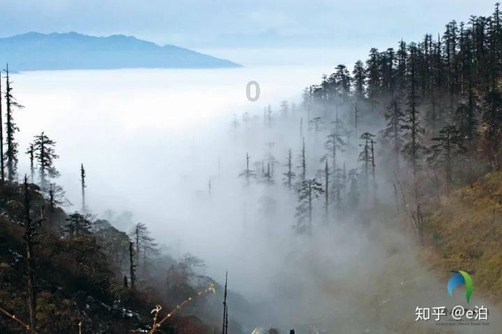 精灵灯塔逃生